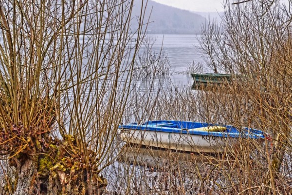 im fruehjahr am See - (c) r plock.jpg